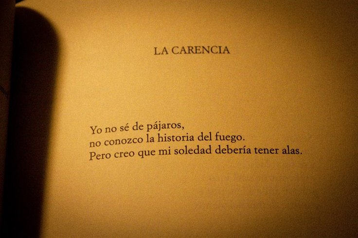 Inviernos_'s tweet photo. Alejandra Pizarnik.
Poetisa y traductora argentina (1936 -1972). https://t.co/YcULBHpsTO
