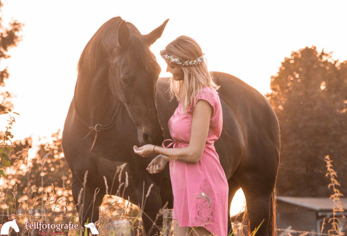 💕🦄 Traumpferd + Babybauch + Sonnenuntergang =