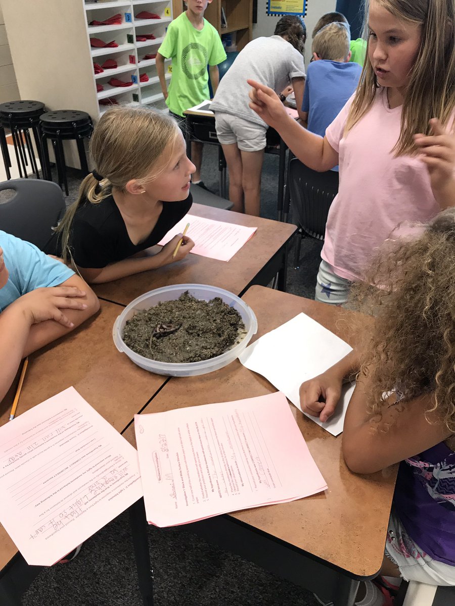 King5Ravens's tweet photo. Observing earthworms #jsdravens @sandeeteach https://t.co/A3vTOYlEcQ