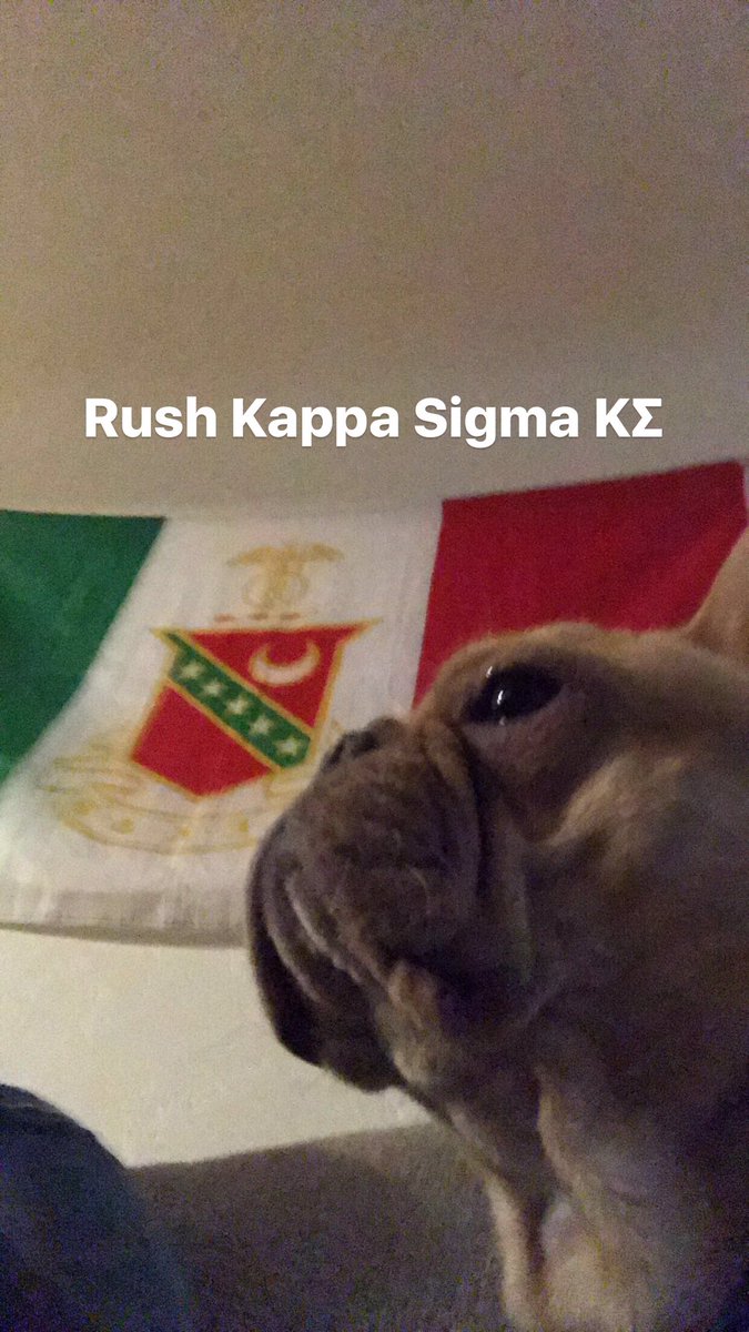 Thereallilbacon's tweet photo. Open for a surprise https://t.co/m1RRdc7McO