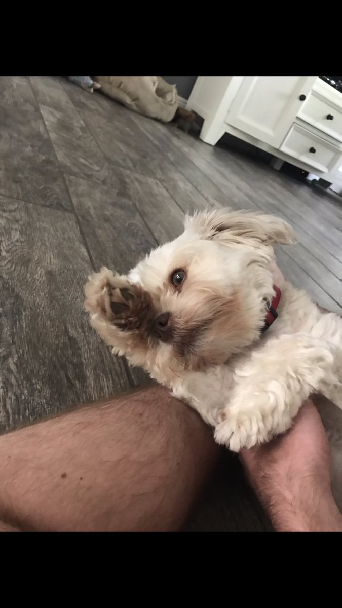 DylanLKyle's tweet photo. When they're taking to long to respond and you tell yourself you'll go to sleep even if they text back, but then feel your phone vibrate. https://t.co/g2zNzIEr6A