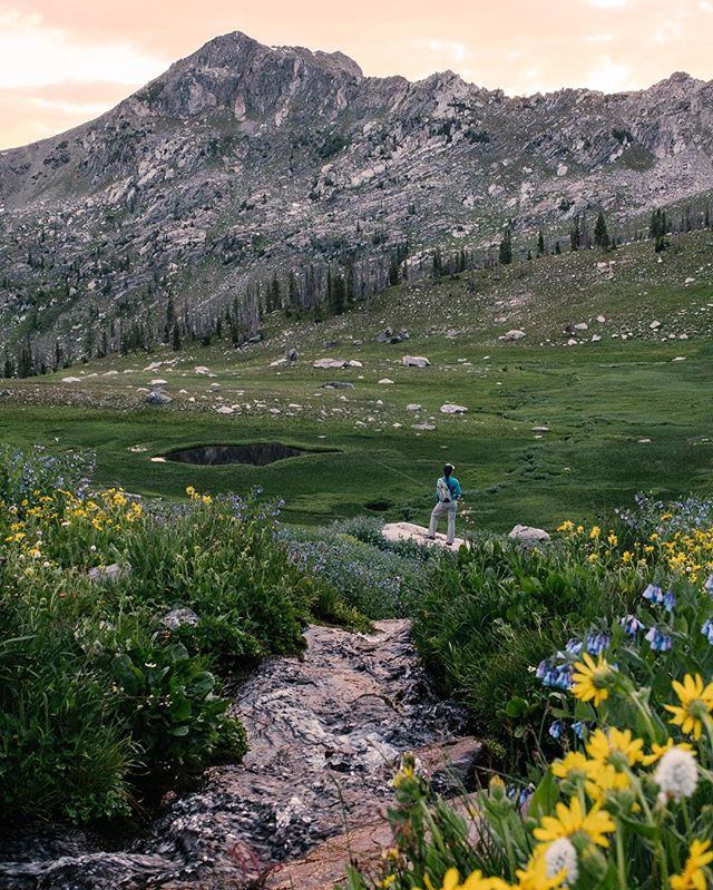 nerd_inthe_wild's tweet photo. Dreaming of going back here this weekend! ๐ท: @devonbbarker #aerialistinthewild #liveadventurous #livingcrazyandfun #optoutside #exploremore https://t.co/alBHNA9U4t