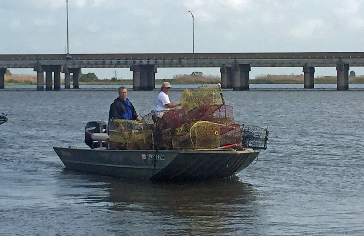 guyharveymagazine.com/Article/post_d… Anyone who's crossed the north end of #MobileBay would have noticed numerous #crabtraps that littered the shallow...