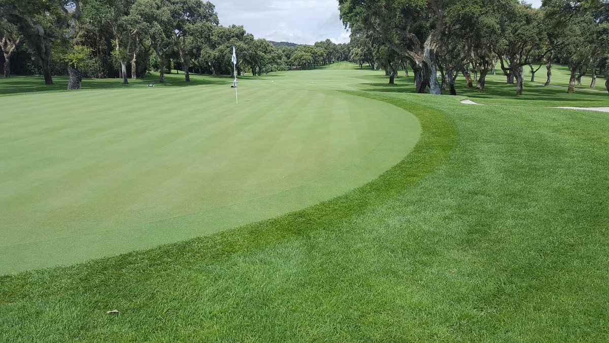 AgronomyRCV's tweet photo. Despidiendo el #verano con la mente en el siguiente reto. No paramos!! 🤔⛳👌 @EuropeanTour @andaluciamaster @GCSAA #Realclub #Valderrama https://t.co/GmtnE1CEEz