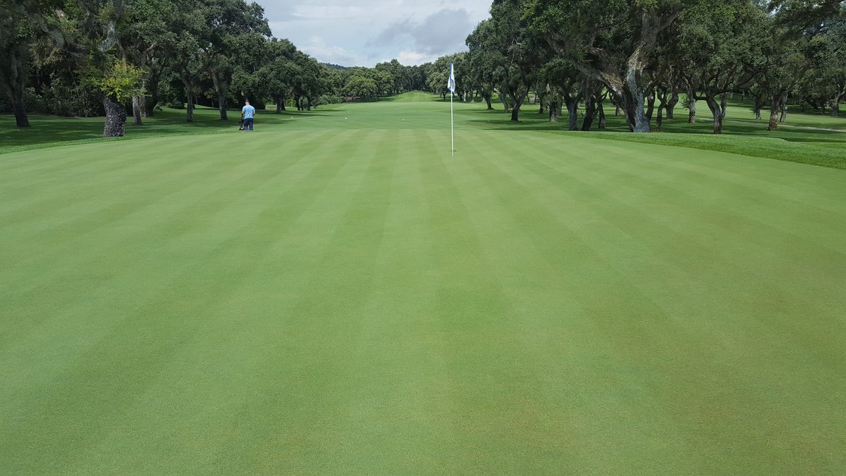 AgronomyRCV's tweet photo. Despidiendo el #verano con la mente en el siguiente reto. No paramos!! 🤔⛳👌 @EuropeanTour @andaluciamaster @GCSAA #Realclub #Valderrama https://t.co/GmtnE1CEEz