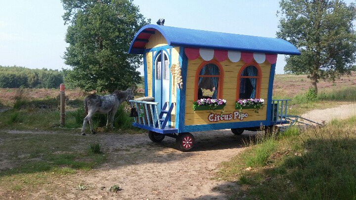 Bijzonder bezoek op #SallandseHeuvelrug  vandaag. Opnamen #PipodeClown .
 #jeugdsentiment #NPSH <a href="/SallandTourist/">Salland Tourist Info</a> #SapperdeFlap