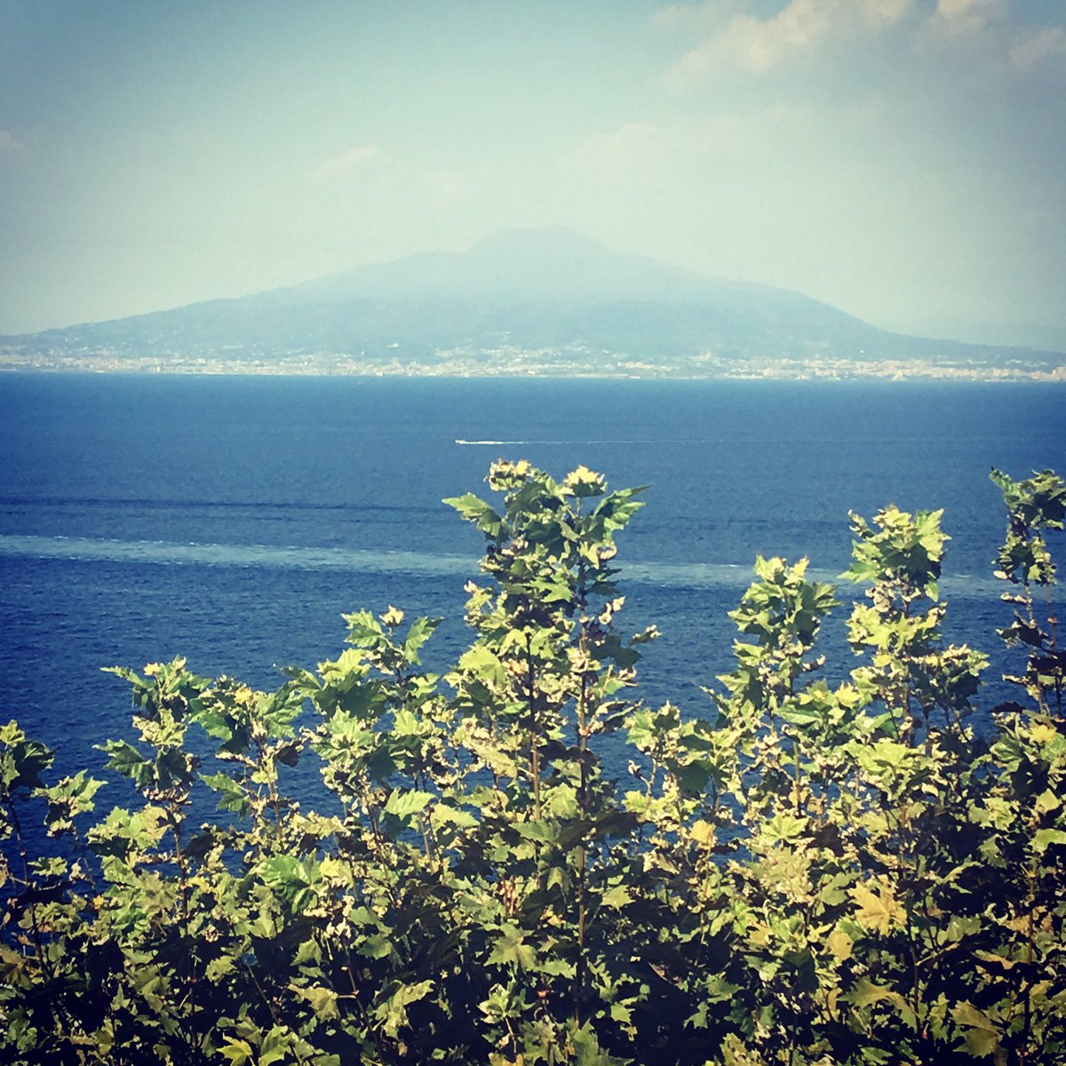abby_white25's tweet photo. Mount Vesuvius 🌋 #holipops #sorrento #❤️💙 https://t.co/Stz5xrWmg1