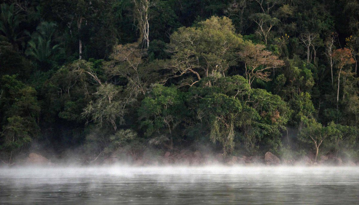 MidiaeAmazonia's tweet photo. #AmazônianaMídia: Temer reage a críticas com novo decreto que mantém mineração em zona da Amazônia. https://t.co/9LV0qWGFxm https://t.co/9z7nCLNrYo