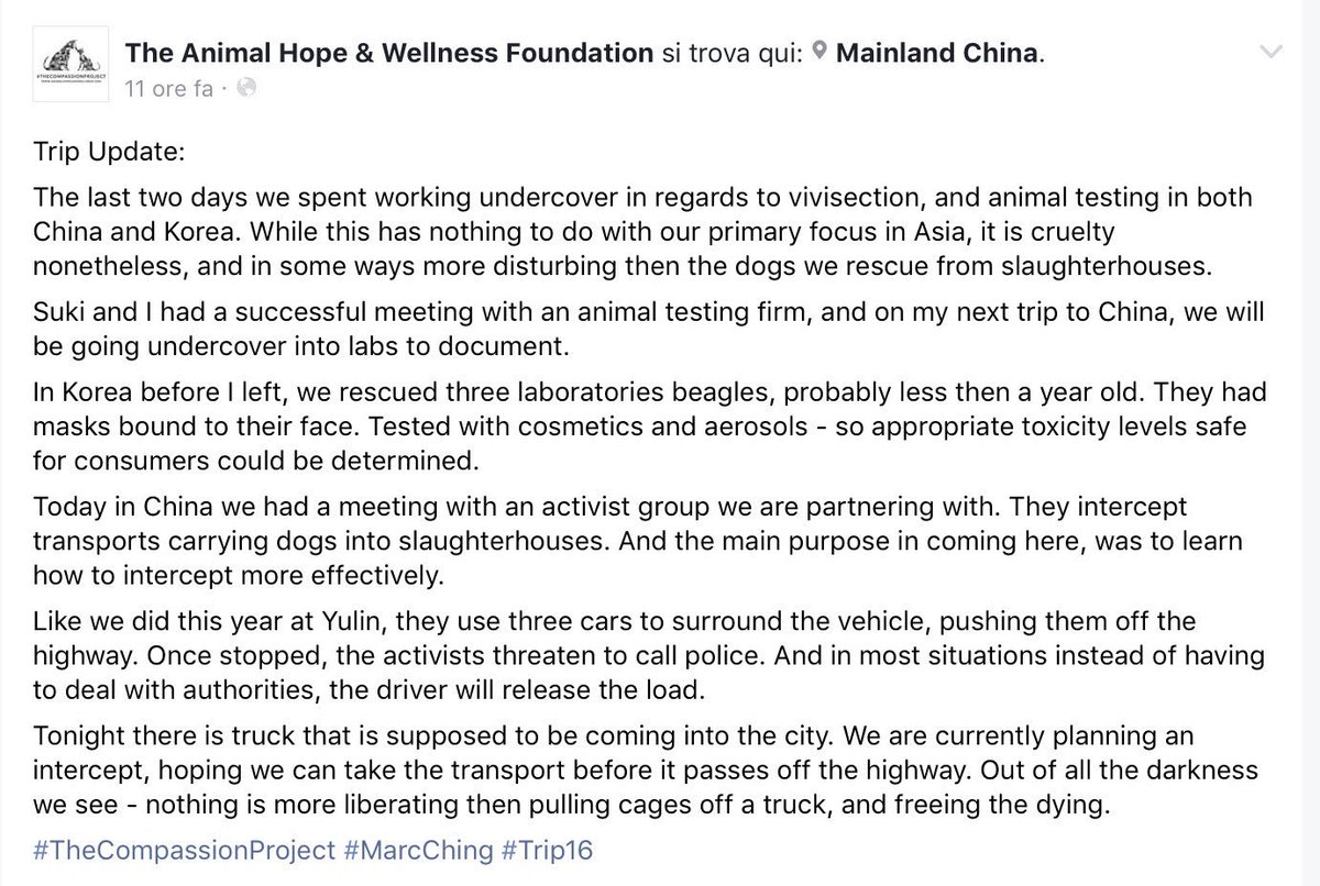 GretaAstpc's tweet photo. #Trip16 update how precious is #MarcChing engagement from #SouthKorea to #China rescuing dogs also from vivisection https://t.co/6ZAqJS5LrH https://t.co/AH6NHZoms2