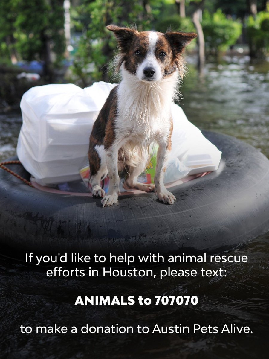 AnimalPlanet's tweet photo. https://t.co/JXFOwtR3We