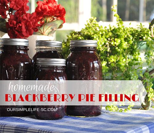 Blackberry Pie Filling Recipe - Taste of Summer in a Jar @oursimple buff.ly/2wZsi5W