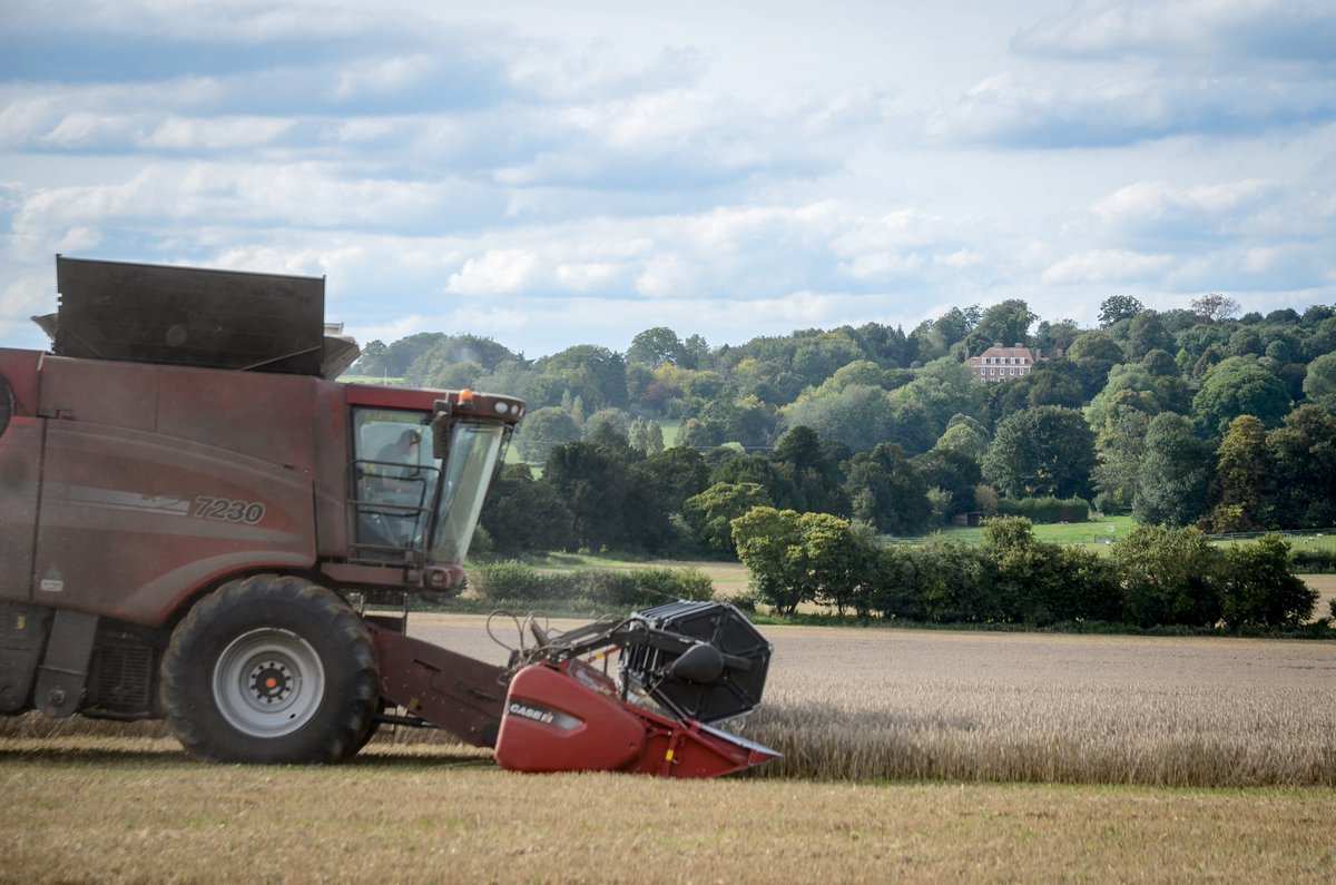 BenBuzzsaw's tweet image. Daren Ivey harvesting his @BASFcropUK #RealResultsCircle trial this afternoon, also his last field #harvest17 Well done to the whole team!