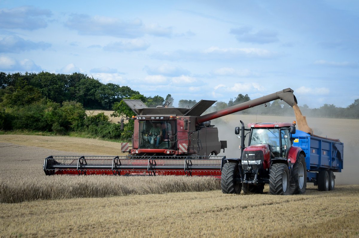 BenBuzzsaw's tweet image. Daren Ivey harvesting his @BASFcropUK #RealResultsCircle trial this afternoon, also his last field #harvest17 Well done to the whole team!