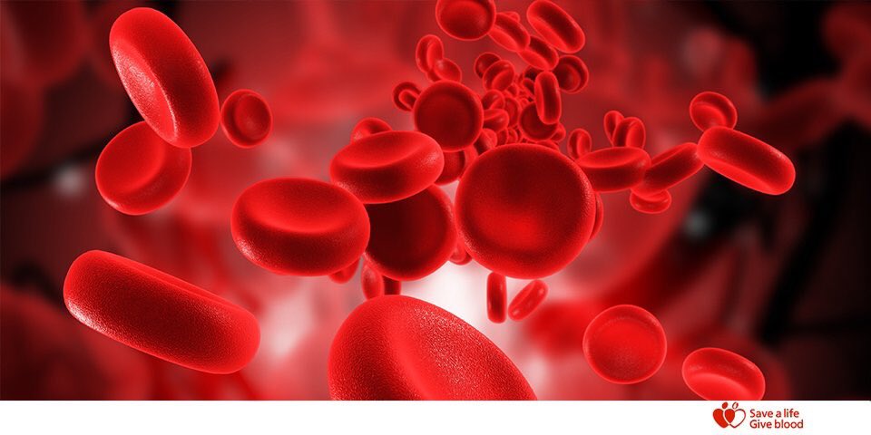 GiveBloodNHS's tweet photo. Give blood.
Give now.
Give often.
https://t.co/0spksv15MQ #MCR100Days https://t.co/Nud1eW0yVJ