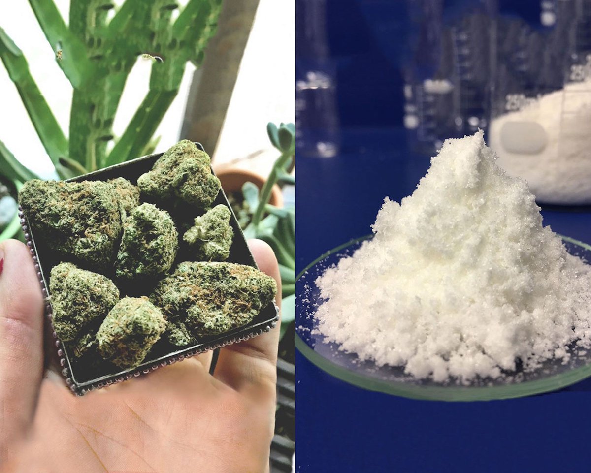 99% Pure THC-A Crystals, Are You Brave Enough To Try It? bit.ly/2vEiMAF
