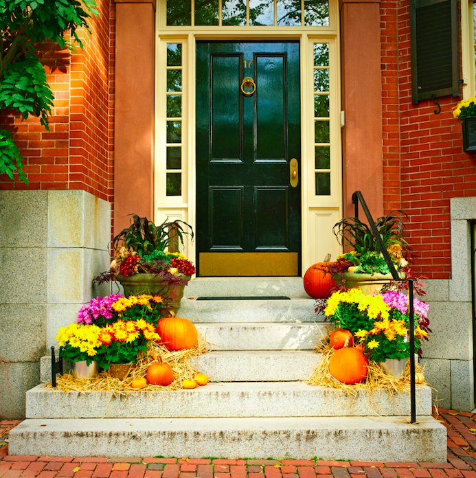 FloortechInter's tweet image. Step up your DIY game this Fall with these seasonal home decor projects! shout.lt/bQTk1