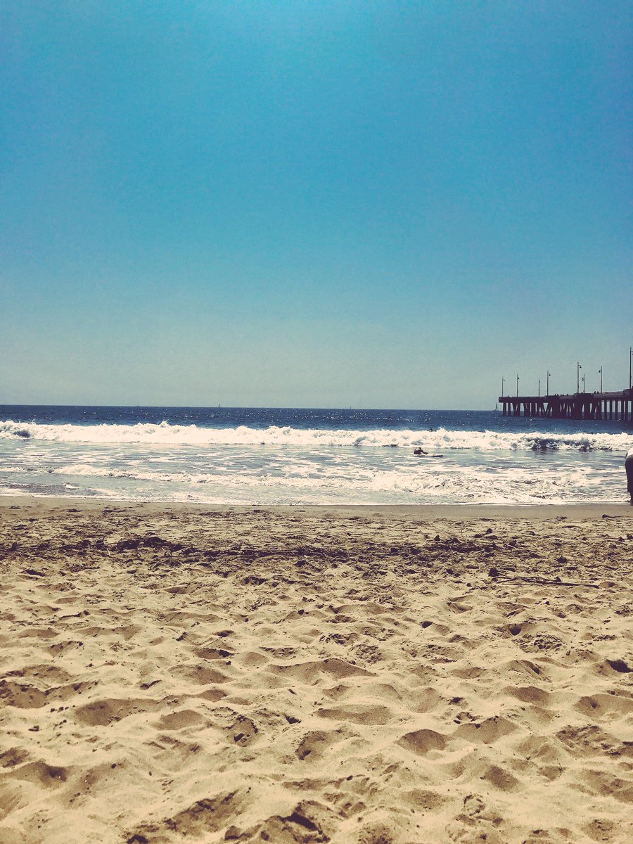 AlavaMusic's tweet photo. In Venice! Enjoying some beach time before I got back to NYC https://t.co/fr43GHW2Tr