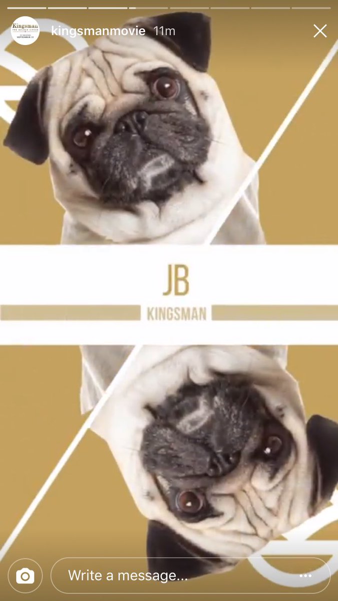 Droll Pug Kingsman