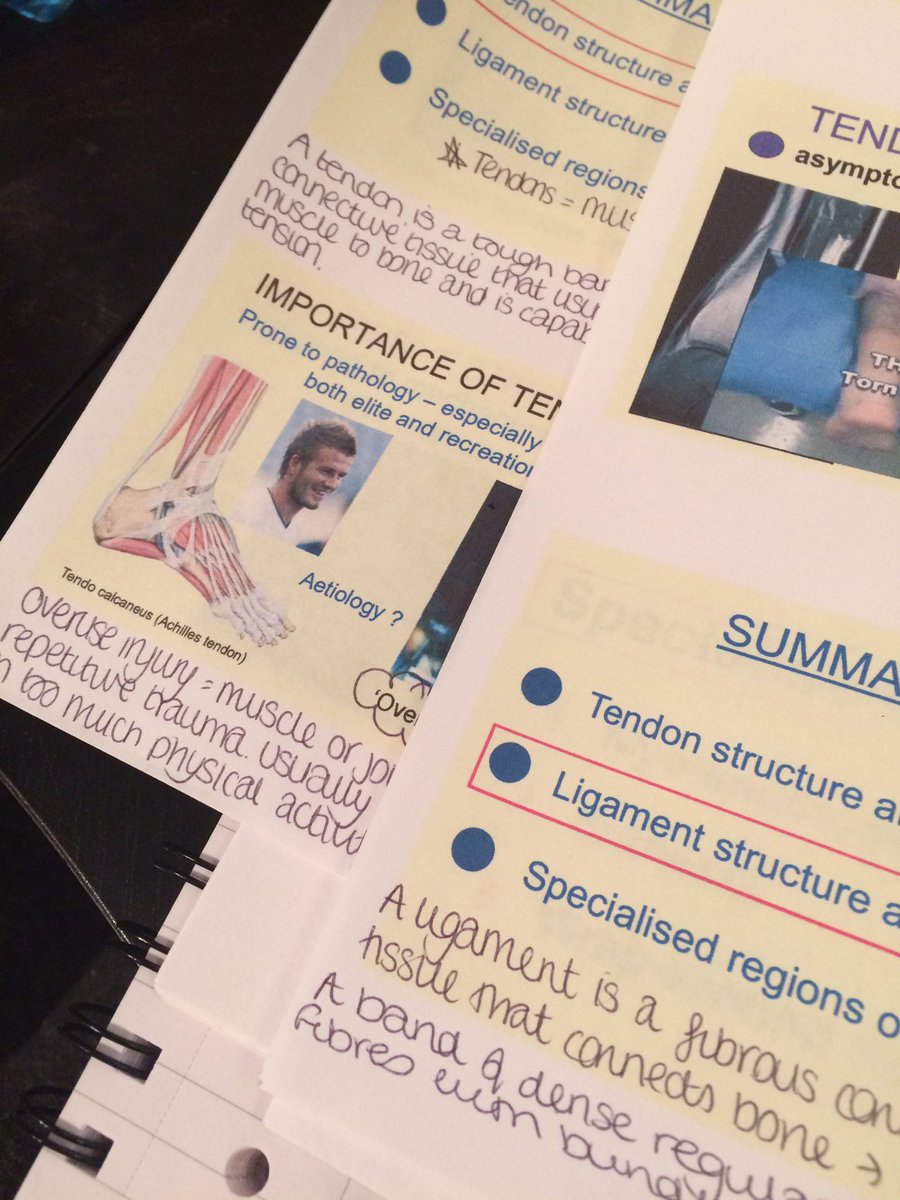 CreademicMedic's tweet photo. First day over and done with, so much anatomy! Getting in some case 1 revision before placement tomorrow! #medicblog #medicalschool #medic https://t.co/3hWsgKj8nf