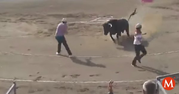 Milenio's tweet photo. ▶️VIDEO: Activista salta al ruedo para defender al toro y sufre grave cornada https://t.co/eaRStz0nvG https://t.co/LHPVZ8cFMj