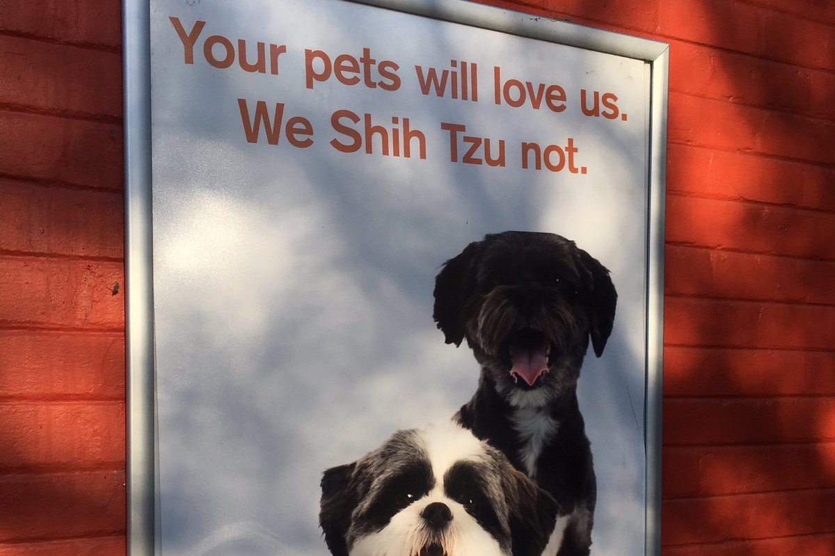 tompaulcarey's tweet photo. Classic 🤣🐶 https://t.co/xhej1OiurK