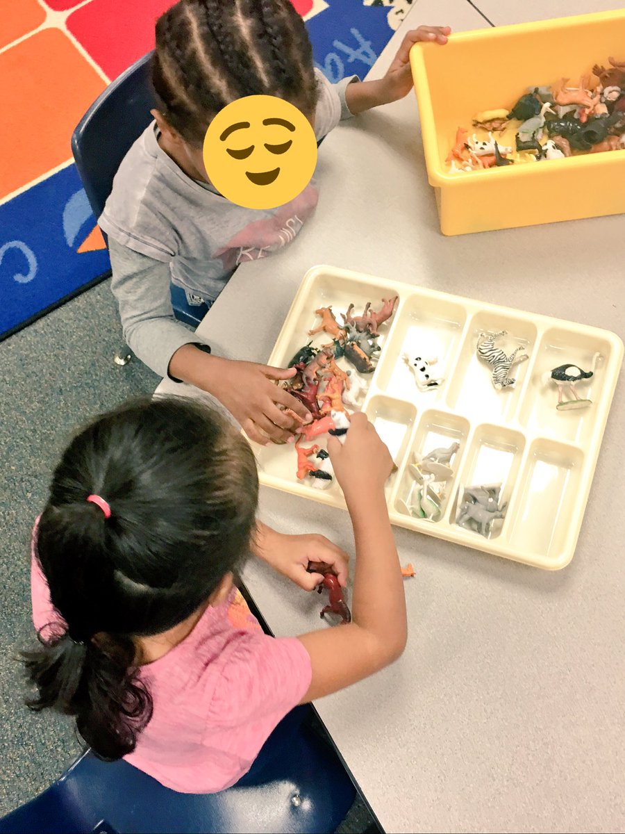 LRGteach's tweet photo. K1 Ss celebrate their names & use teamwork to sort objects into groups! #first2days #CRESculture #OurFCPS #wedidalotofotherfunstufftoo https://t.co/KglMlVUVlc