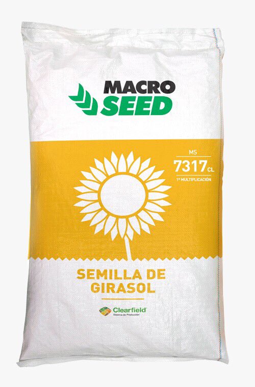 macro_seed's tweet photo. Te presentamos el MS 7317 CL.
Un híbrido de girasol hecho al estilo #LouisDreyfusCompany:
Estabilidad
Rendimiento
Adaptabilidad
Confianza https://t.co/OJPIqg1Eei