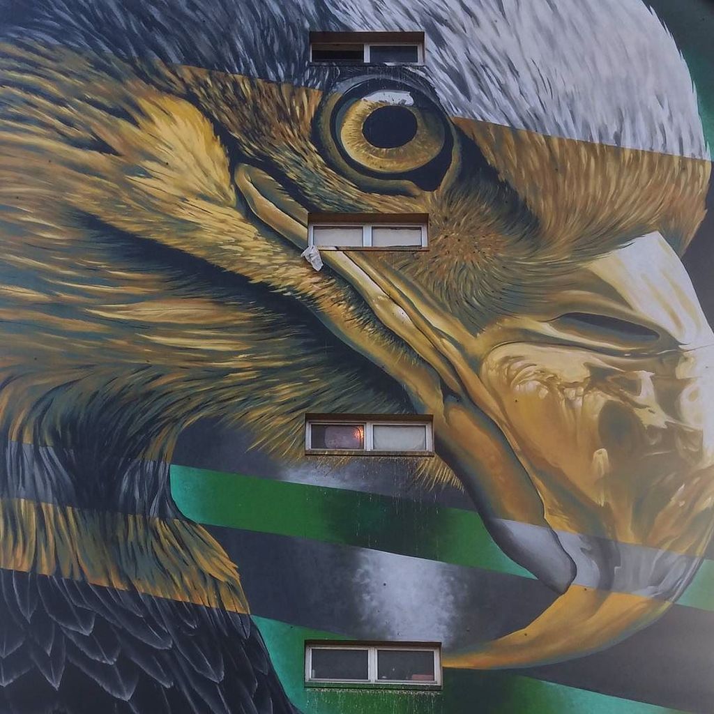andrealvespt's tweet photo. #streetart #buildinggraffiti #lisbon #bairropadrecruz #eagle #carregabenfica #picandgo #projectblocks https://t.co/sIehcYQwwG https://t.co/6WoQogcW1B