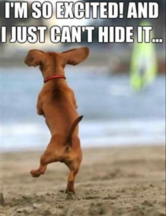 7th &amp; 8th grade teachers are ready for open house tomorrow. See you from 6-8 pm. #whatmakeskwgreat