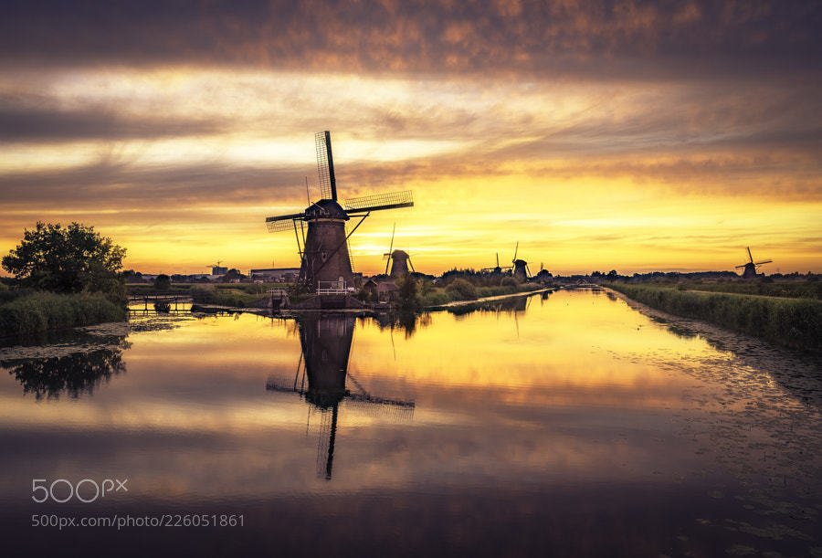 241Photography's tweet image. Popular on 500px : Kinderdijk, Holland by remoscarfo ift.tt/2vIjrRS