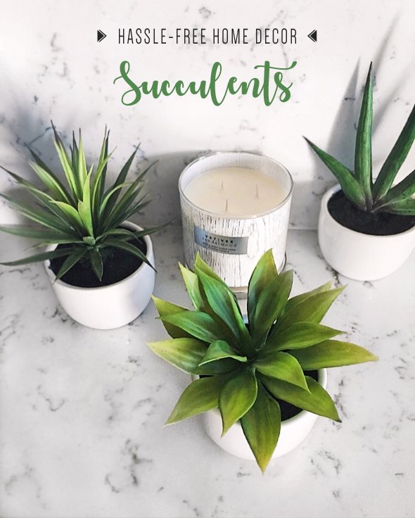 SensibleStyle's tweet photo. Loving my #new #succulents from @commercialsilk + sharing how they add a lifelong #homedecor accent to my space! 🌵🌿

https://t.co/l3ARvhV1VH https://t.co/OWfoGyBe9f