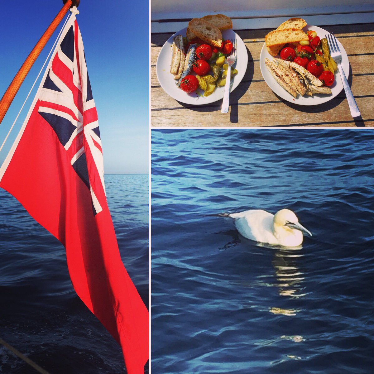 Yesterday was glorious on the water. Pod of #dolphins, #gannets diving, homemade #picnic #sailing #falmouthbay #sunnyday #hot #BankHoliday