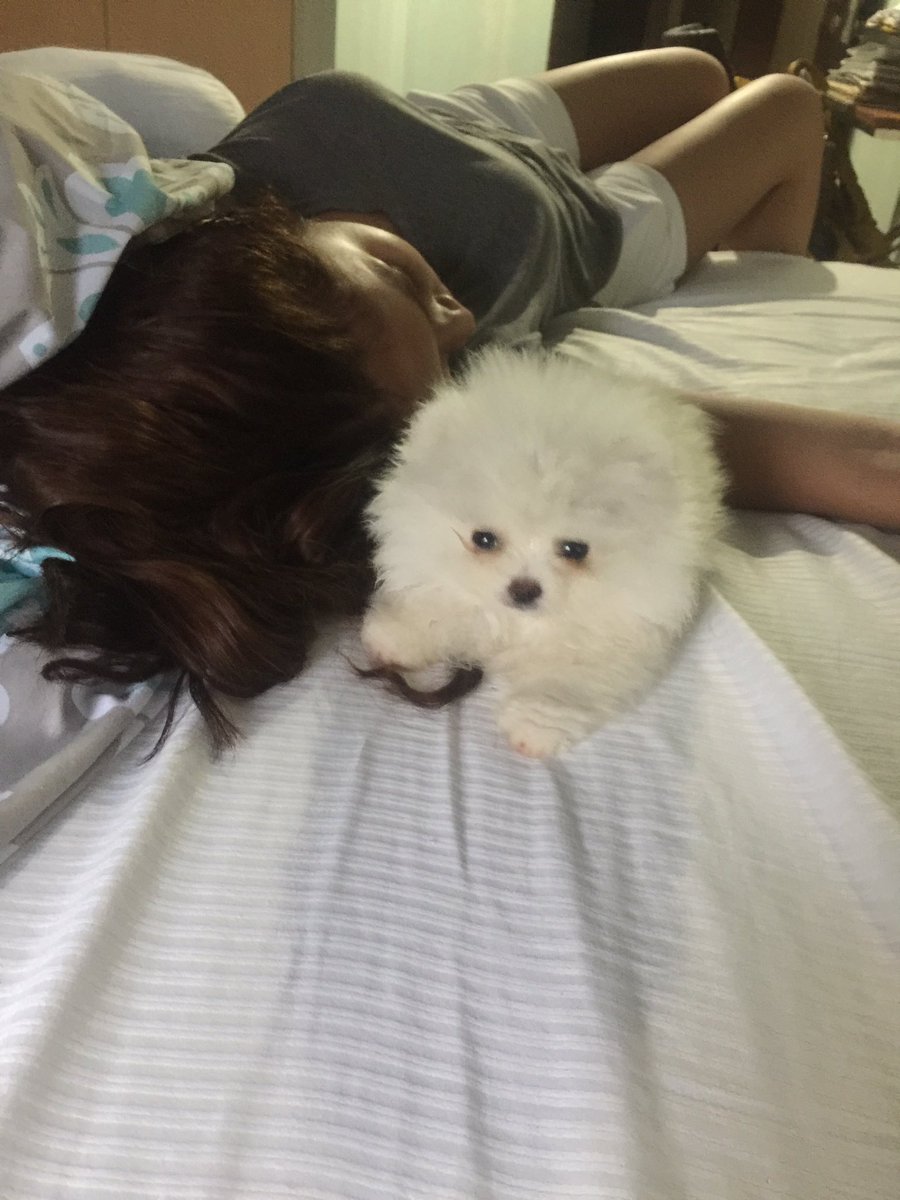 min_bernardo's tweet photo. as in kakadating lang ng baby ko from yesterday taping😔😴😴bigay pugay muna sa akin, pero nakatulog na😴#LaLunaSangreDiskarte https://t.co/qFZVpTerJ3