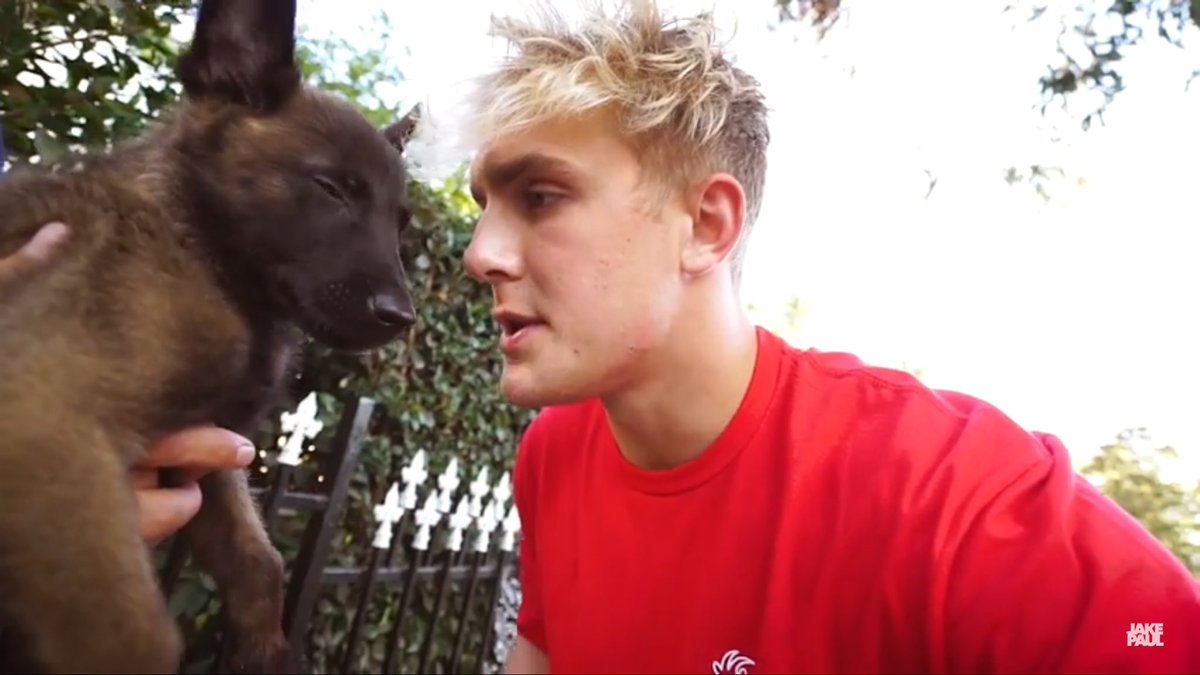 team10fvns's tweet photo. Another evidence that @jakepaul is a good person. #Team10 is the BEST❤️#Houstonhelpers❤️https://t.co/XZeVN02duY https://t.co/ZQRPT5ky8Y