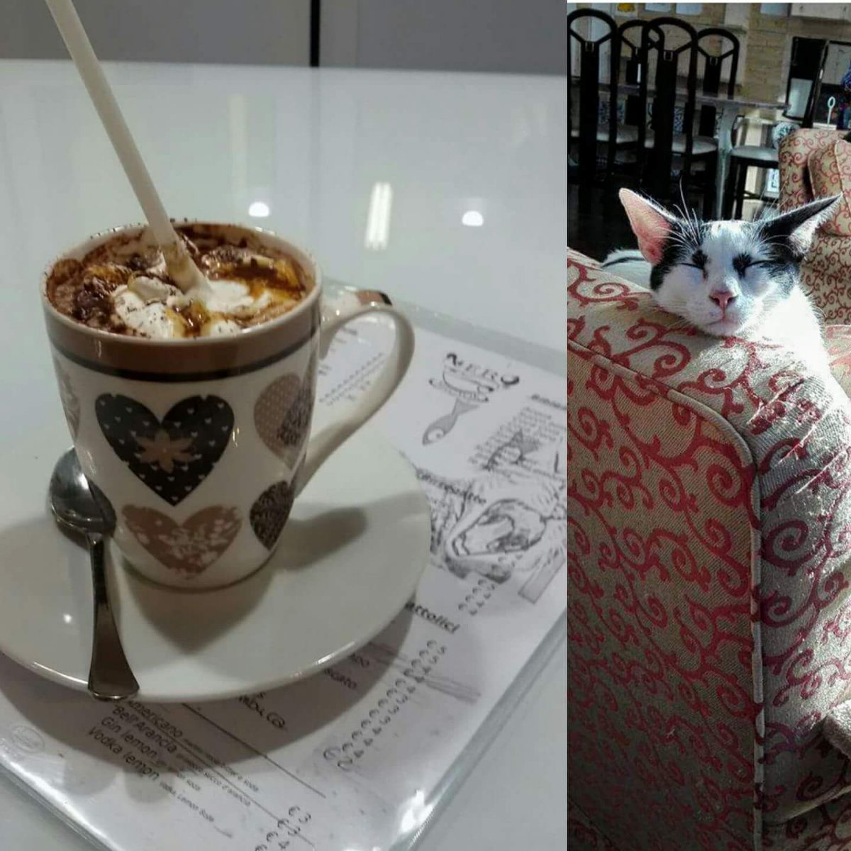neromiciok's tweet photo. Hazelnut mocha vegan
irresistibile come le fusa di Rosalia
#catcafe #neromiciok #palermo #vegan #Coffee #icedcoffee https://t.co/jVdS43KKHH