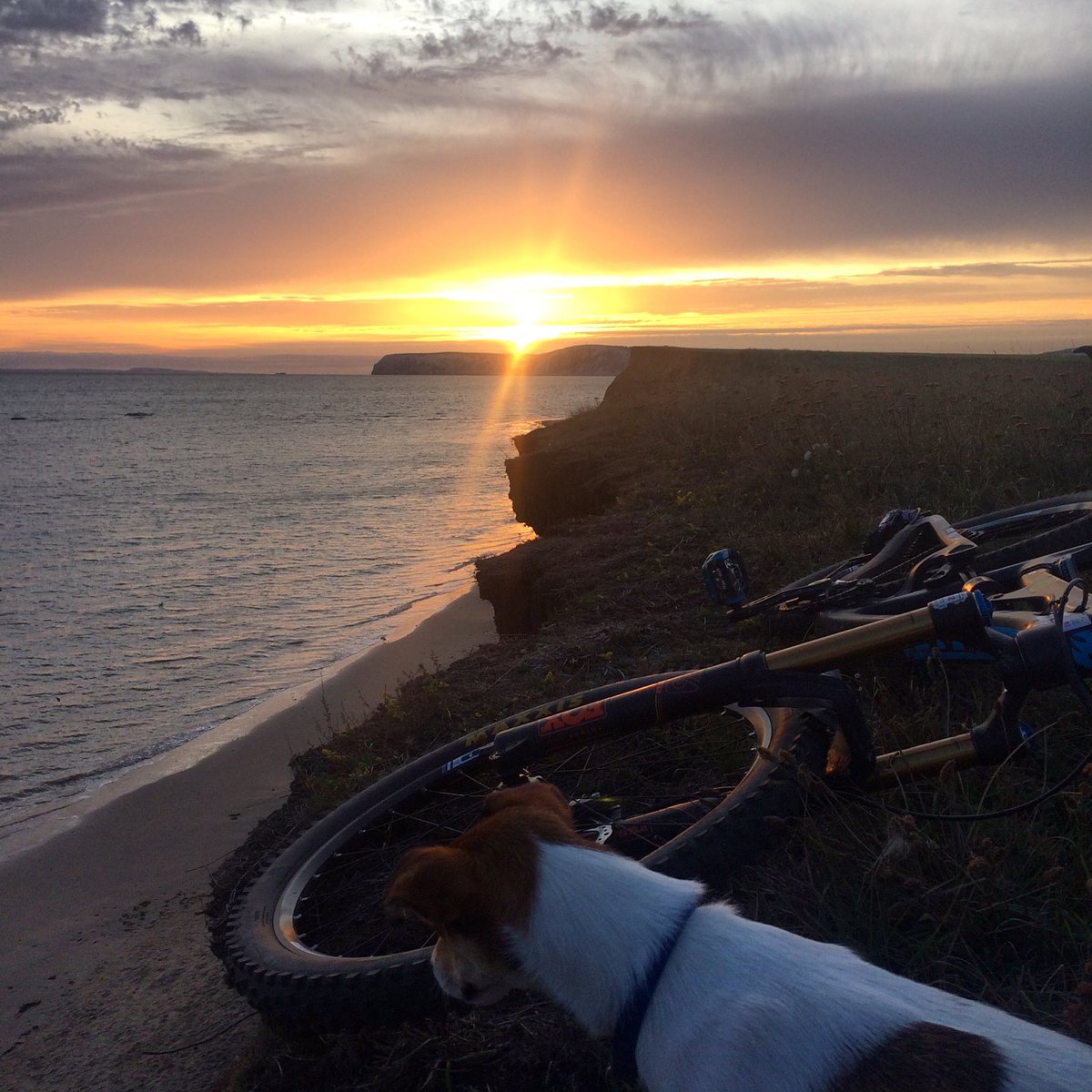 beckycookracing's tweet photo. Banishing those bank holiday blues with an evening spin with the pup watching the sunset! 👌🐶 #home #isleofwight #islandlife #trailpup https://t.co/eLHhyDHniu