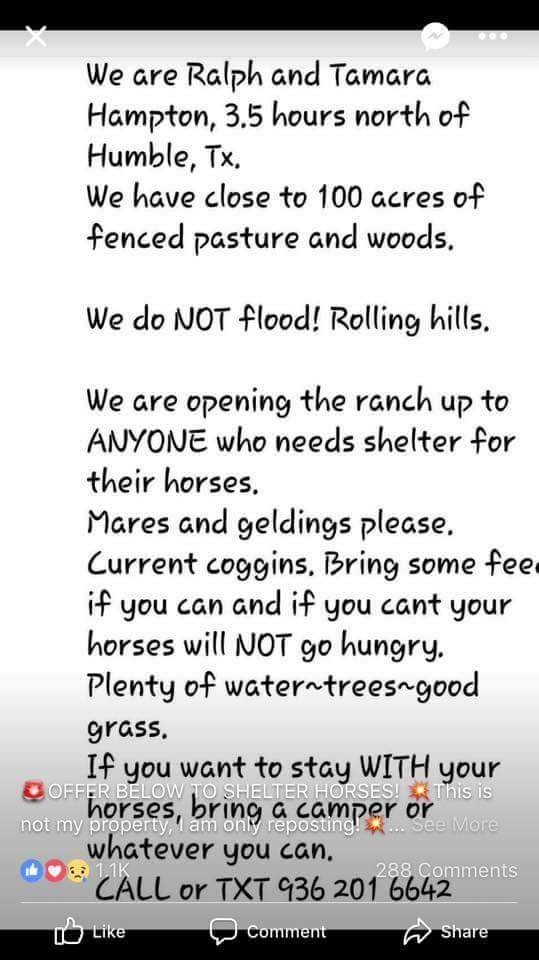 ZeroWarningShot's tweet photo. #Harvey #Houston #HoustonHelpNeeded #HoustonHelp #HoustonPets #HoustonHorses #Horses 🙏❤ https://t.co/gwqqIwDXSp