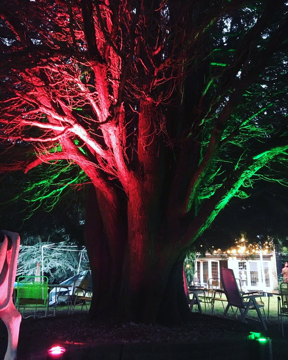 Core_Event_Hire's tweet photo. Wireless ip rated uplighting under these large trees did just the trick in this big garden area! #wireless #coreeventhire #uplighter #trees https://t.co/B5rvGz5LLB
