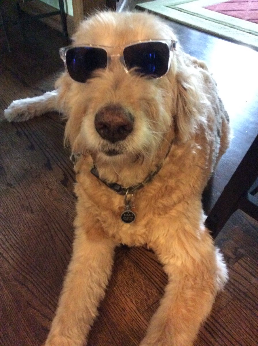 dlogan34's tweet photo. Hey dude.....@rwdgolf99 thanks for the specs!!! #BattleforBilly https://t.co/NO9qPfmMCW