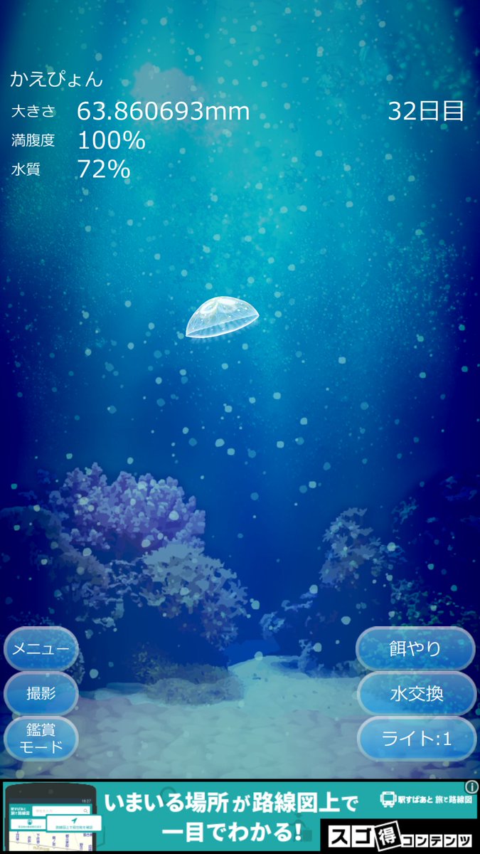 Hashtag クラゲ育成アプリ Na Twitteru