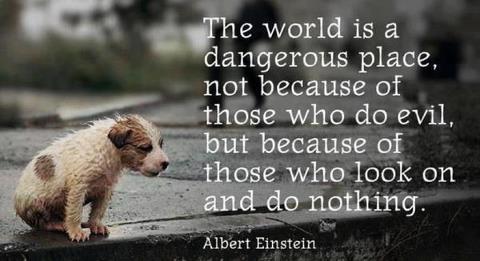 marshawright's tweet photo. Will you look upon #evil and do nothing? 
#positive #act #success #action https://t.co/FiDH7dqNVK