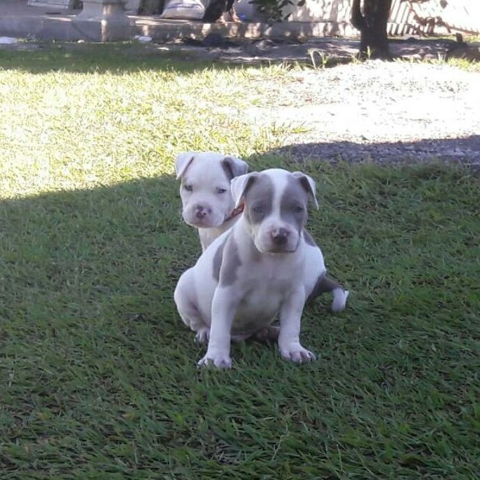 Jorge Brenes (@jorgemariobren1) on Twitter photo 