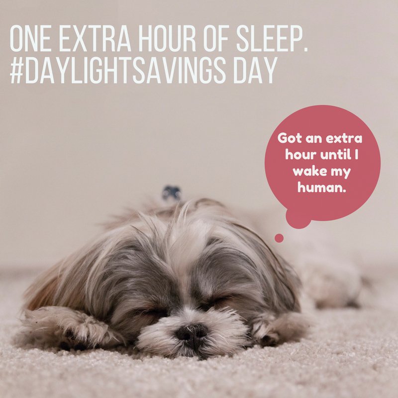 mcuonline's tweet image. Yes! One more hour of extra sleep! #DayLightSavings