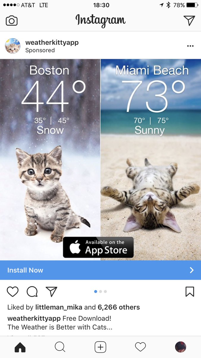 Izzy_Bladen's tweet photo. Really, Insta? First you get me to buy salad chopper &amp; a purse..now you've got me downloading kitty weather app? #notmad #actuallyimpressed https://t.co/CZnafwZm2o