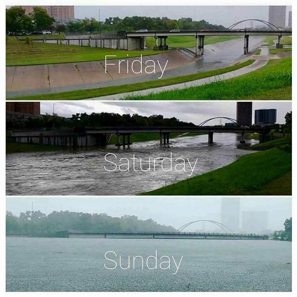 jodotcom's tweet photo. "For those of my friends that live out of town this is what Houston looks like." ~ Donnie Elliott https://t.co/8U2jLywhSB