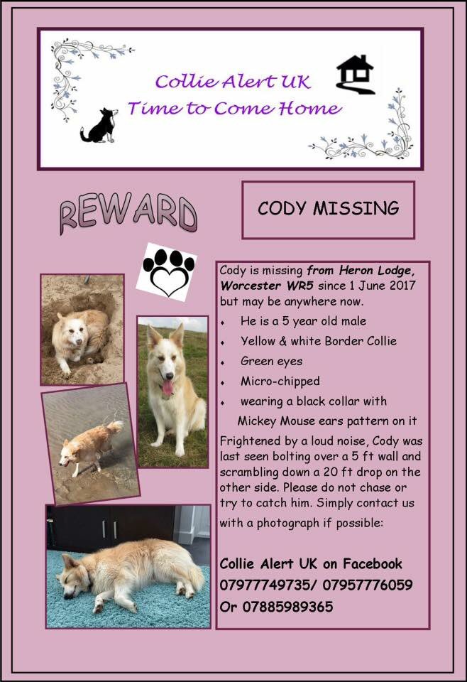 rosiedoc666's tweet photo. NEW INFO REGARDING CODY... spotted causing problems on #Pershore side #M5 at #Junction7 b4 turn #Norton (a #farm nr layby) 🆘DID 'YOU' SEE? https://t.co/fm7QGj3hAw