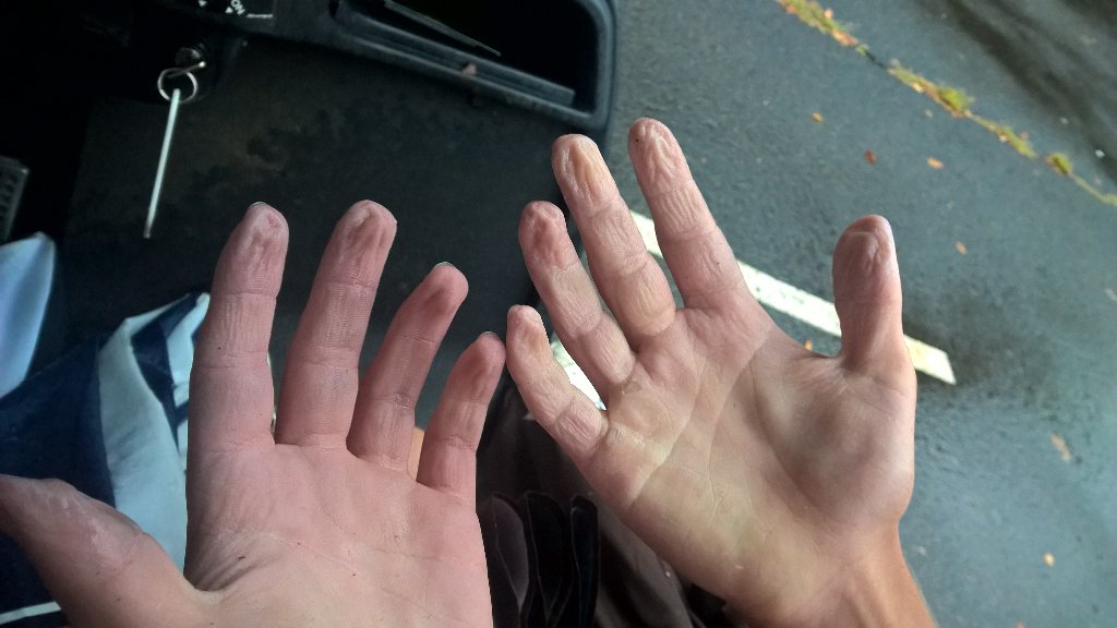 Nice win in poor conditions 208-214 against Neshaminy. Trio of 41's from Foll, Laushell and Finklestein.