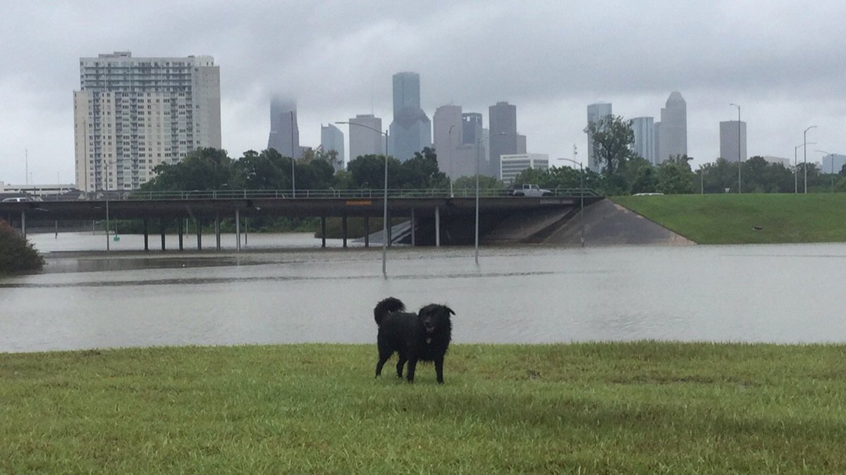 Michael Arnold tweet media