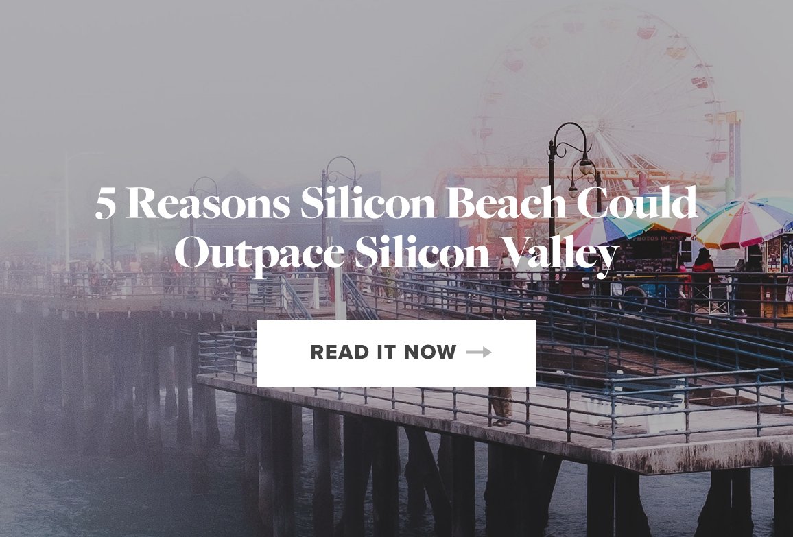 Herman-Scheer tweet media