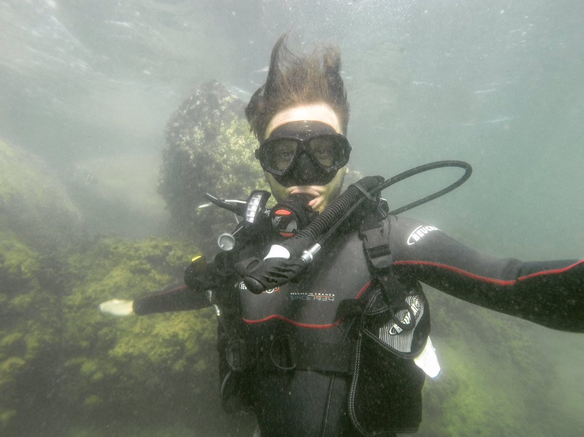 CanaryScuba's tweet photo. Rollin' in the deep with the Canary prototype. Stay safe out there divers! #scubadiving #scubatech #canaryscuba #prototype #safetyfirst https://t.co/6rOYos0azB